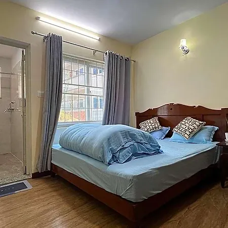 The Sparkling Turtle Backpackers Hostel
